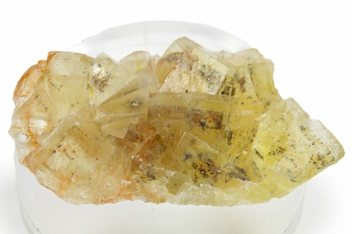 Yellow Fluorite Cluster - Spain #374271